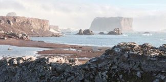 Grille Cintamani ~ Cobra ~ 29.05.2017