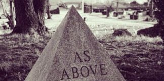 Interview de Cobra avec Rob Potter 20/08/17