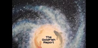 Dr. Scott Werner M.D. dans The Goldfish Report – Partie 1 et 2