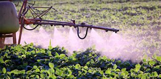 Pesticides et herbicides comme le glyphosate liés à la maladie de Parkinson et à d’autres troubles neurologiques