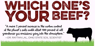 La solution sous nos pieds : comment l’agriculture biologique régénérative peut sauver la planète