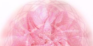 Familles d’Âmes ~ Mise à jour de Cobra ~ 2 avril 2018