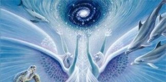 Vendredi 13 juillet Nouvelle Lune Nouvelle lune