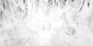 Feu Blanc de AN feu blanc an