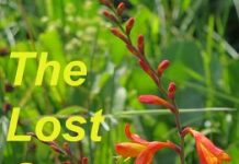 Les Remèdes Perdus remedes perdus