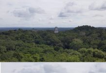 Une Civilisation Maya Cachée Révélée Sous la Canopée de la Jungle Guatémaltèque maya 2
