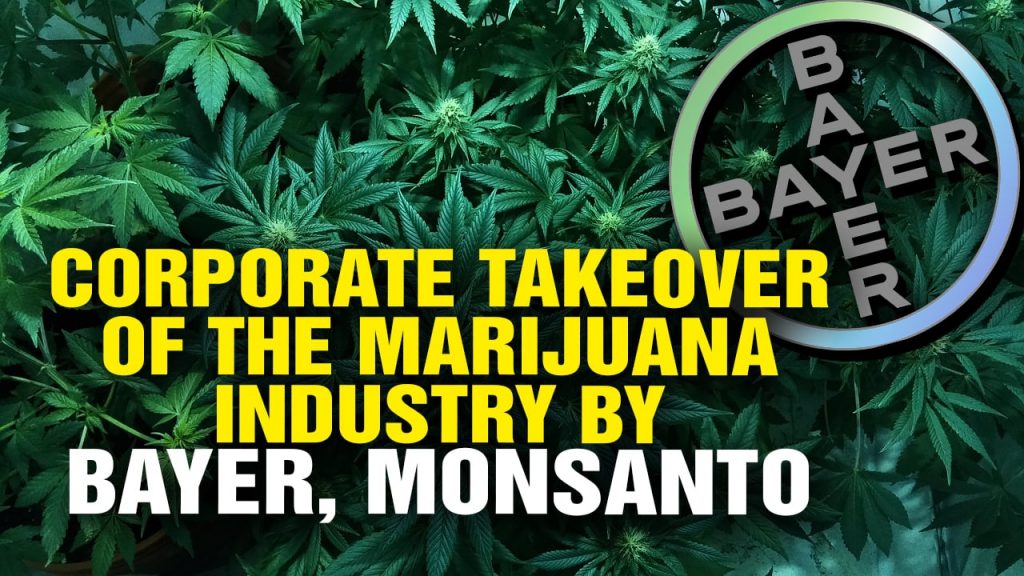 Monsanto-And-Bayer-Are-Moving-To-Create-A-Monopoly-On-Marijuana-bayer