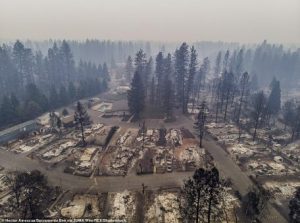 Cali-DEW-Paradise-Camp-fire-Nov-2018-arbres