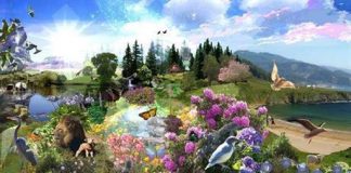 NOTES DE LA CONFÉRENCE DE L’ASCENSION DE COBRA À SAO PAULO ~ 02/12/2018 gaia-paradis