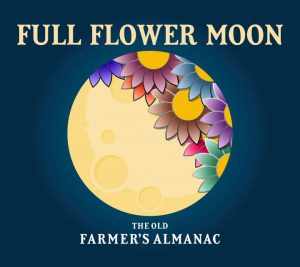 lune-full_flower