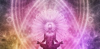 Méditation d’Urgence Quotidienne : Protection pour Montauk Daniel rose-meditation