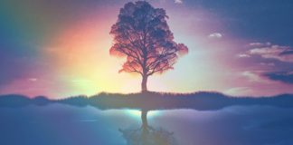 Méditation du solstice le 21 juin 2019 à 15h54 UTC (17h54 heure française d’été) arbre-solstice-spiritual