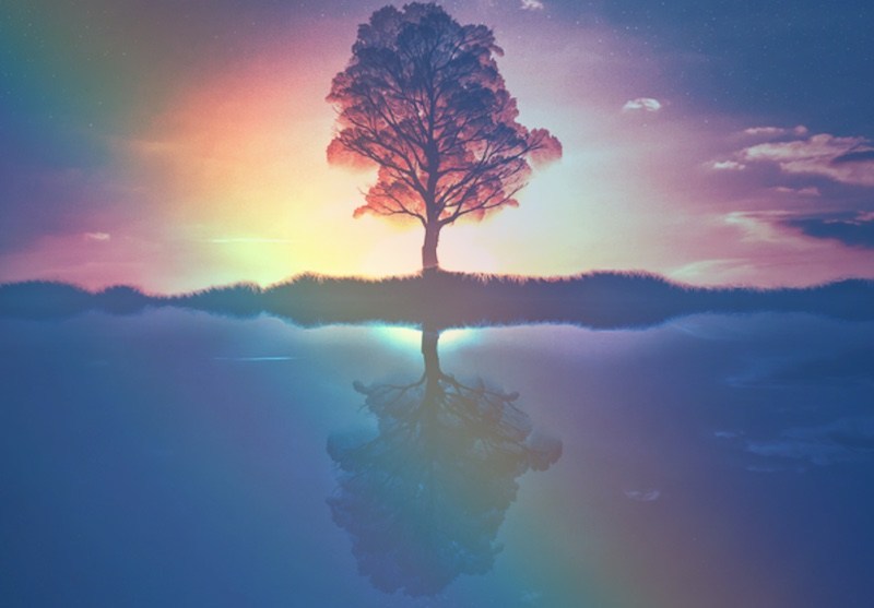 arbre-solstice-spiritual
