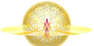 COBRA I 1 juillet 2019 : Fleur de vie protectionfleur