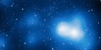 COBRA I 5 septembre 2019 : l’année 2020 bleu