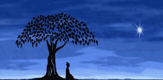 Méditation d’urgence : Festival Gadhimai au Népal (sacrifices d’animaux) arbre-nuit