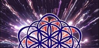 Méditation pour la fin du coronavirus le dimanche à 15h UTC (17h heure française d’été) et toutes les 4 heures corona-image