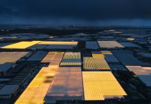 Comment les Hollandais se servent de l’architecture pour alimenter le monde hollande1