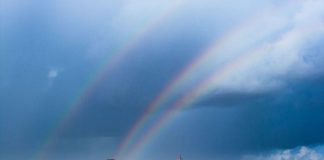 COBRA 14 Septembre 2020 : Rapport de progression arcsenciel