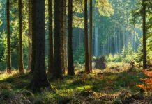 Nouveau site internet du Programme « Restauration de la Nature » du réseau Prepare for Change