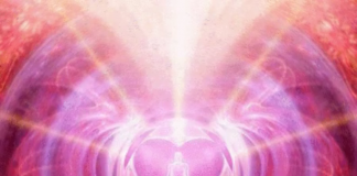 Cobra : Méditation urgente pour les otages des bases souterraines coeur-meditation