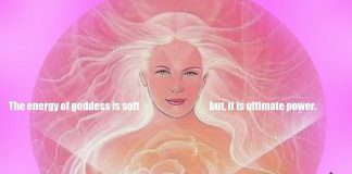 Cobra 17 juin 2021 : situation planétaire, méditations, Sororité de la Rose, nanotechnologies, chambres à tachyons, Med Beds