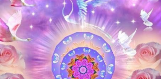 Cobra : Ekpurosis ( 15 mars 2022 )