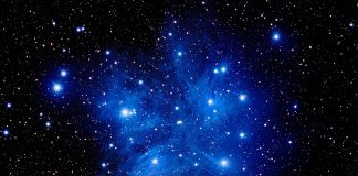 Cobra : interview ( Juin/Juillet 2022 ) pleiades