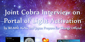 Interview Cobra/WLMM/IGAG/Prepare For Change Japon Officiel sur l’Activation du Portail de Lumière (27 mars 2023) interview-WLMM