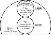Patrick Kelly : développement de l’Ame+Esprit Profond+Moi intérieur+ Transformation intérieure+ champ d’énergie personnel esprit-profond-P.Kelly