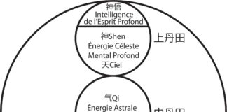 Patrick Kelly : développement de l’Ame+Esprit Profond+Moi intérieur+ Transformation intérieure+ champ d’énergie personnel esprit-profond-P.Kelly