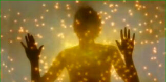 L’ Alimentation pranique