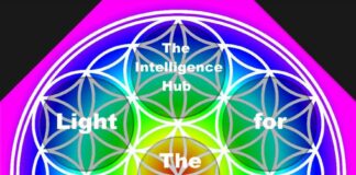 Cobra 17 août 2023 – Session de questions et réponses Portal-flowerOFlife