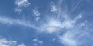 Atelier sur les Protocoles d’Ascension avec Cobra le 10 septembre 2023 en Allemagne (Notes) 0