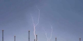 Cobra-14 avril 2024- Situation planétaire+Rapport Méditation éclipse+Notes Ateliers USA (Sedona & Rochester) Victory (2)