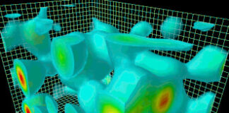 Synthèse officielle des Ateliers de Cobra « Ascension/Réveil des Dragons » en Asie (Juillet 2024) synthese-asie2024