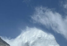 Cobra-25 Mai 2025-« Les Templiers Positifs »(Wesak 2025, Synthèses des 4 ateliers »Activation de Wesak+Portail 2025 », Interview Cobra/PFC Japon, Templiers Positifs,  Lignée du Graal…)