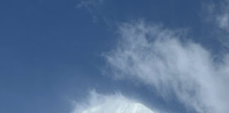 Cobra-25 Mai 2025-« Les Templiers Positifs »(Wesak 2025, Synthèses des 4 ateliers »Activation de Wesak+Portail 2025 », Interview Cobra/PFC Japon, Templiers Positifs, Lignée du Graal…)