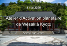 Notes officielles: Atelier d’Activation planétaire de Wesak par Cobra à Kyoto 3 mai 2025(situation planétaire, WESAK, saint Graal, Rayon/Lumière Emeraude, Familles Stellaires, Ordre/Confrerie/Fraternité de l’étoile…)