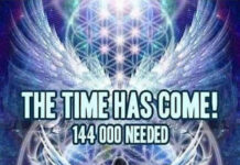 Cobra-17 Juillet 2025-Méditation de Renforcement pour l’Activation du Portail d’Ascension 12:21