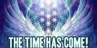 Cobra-17 Juillet 2025-Méditation de Renforcement pour l’Activation du Portail d’Ascension 12:21