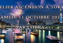 Notes officielles Atelier « Ascension » de Cobra à Tokyo Octobre 2025 (Ascension, Biopuces, Méditation, Intervention Physique, Rôdeurs, Tachyons, Energie de la Déesse, Rayon guerison emeraude Pléiadiens, situation planétaire…)