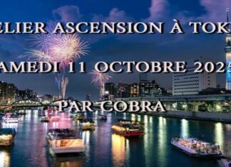 Notes officielles Atelier « Ascension » de Cobra à Tokyo Octobre 2025 (Ascension, Biopuces, Méditation, Intervention Physique, Rôdeurs, Tachyons, Energie de la Déesse, Rayon guerison emeraude Pléiadiens, situation planétaire…)