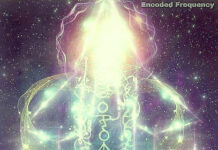 Cobra-26 Décembre 2025-Situation Planétaire(Atelier »Ascension à Phoenix USA Janvier 2026, Interview Cobra/Iruka Japon, Notes ateliers »Templiers/Ascension », Coeur Cosmique, Etre Angélique Aaea, Basculement Polaire, Trump, Or/Argent, Energies d’Amour Cosmique, Rôdeur…)