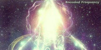 Cobra-26 Décembre 2025-Situation Planétaire(Atelier »Ascension à Phoenix USA Janvier 2026, Interview Cobra/Iruka Japon, Notes ateliers »Templiers/Ascension », Coeur Cosmique, Etre Angélique Aaea, Basculement Polaire, Trump, Or/Argent, Energies d’Amour Cosmique, Rôdeur…)