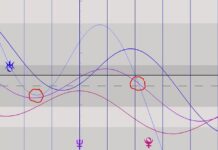 Cobra-25 Janvier 2026-« Ligne de Temps Planétaire Dorée »(Conférence à Sydney/Australie Mars 2026, Energies/Astrologie, Méditation, Ligne de Temps…)