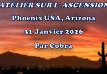 NOTES OFFICIELLES Atelier « Ascension »de Cobra à Phoenix USA Janvier 2026( Divulgation, Clé de la Nouvelle terre, Opération Dreamland, Iles de Lumière, Lignes de Temps, Conférence/atelier à Sydney/Brisbane Australie Mars 2026, Grilles/Vortex énergétiques/Energies, Chambres à Tachyons, Situation planétaire…)