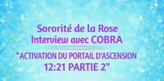 Interview Cobra/Sororité de la Rose-Juin 2026″Activation Portail d’Ascension 12:21 Partie 2″(Énergies,Nouveau Paradis/Nouvelle Terre,Îles de Lumière,Situation Planétaire,Familles d’âmes,Energie de la Déesse,Ligne de Temps Dorée,Guérison/Protection…)