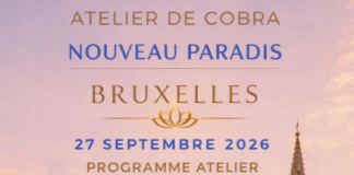 NOTES OFFICIELLES : Atelier«NOUVEAU PARADIS» de Cobra Bruxelles/Belgique Septembre 2026 (Lignes de Temps Positive/Négative, Union Européenne,Situation Planétaire, Activation Vortex de Bruxelles, fin de la souffrance…)